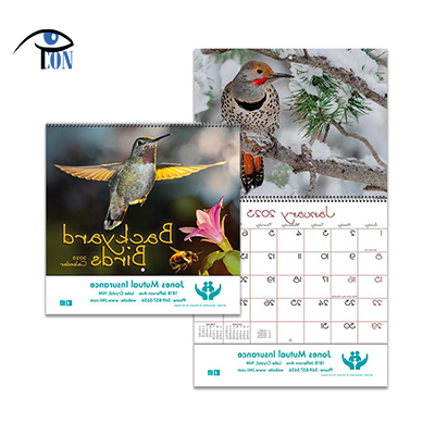 Backyard Birds Wall Calendar - Spiral